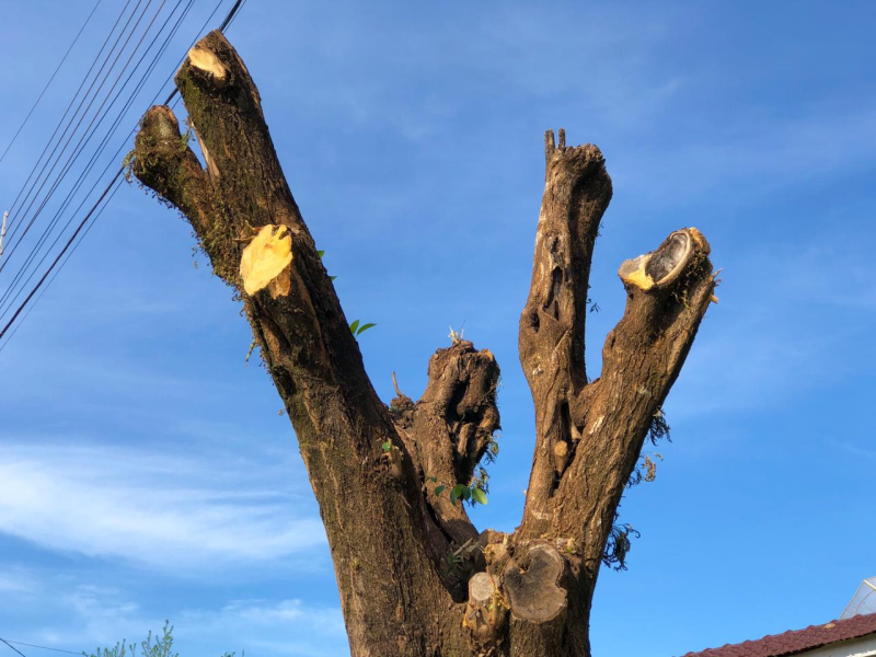 PREFEITURA ENCAMINHA NOTIFICAÇÃO AMBIENTAL PARA RGE